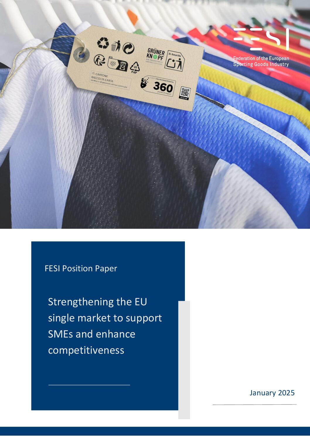 fesi position eu single market strategy jan 25 pdf