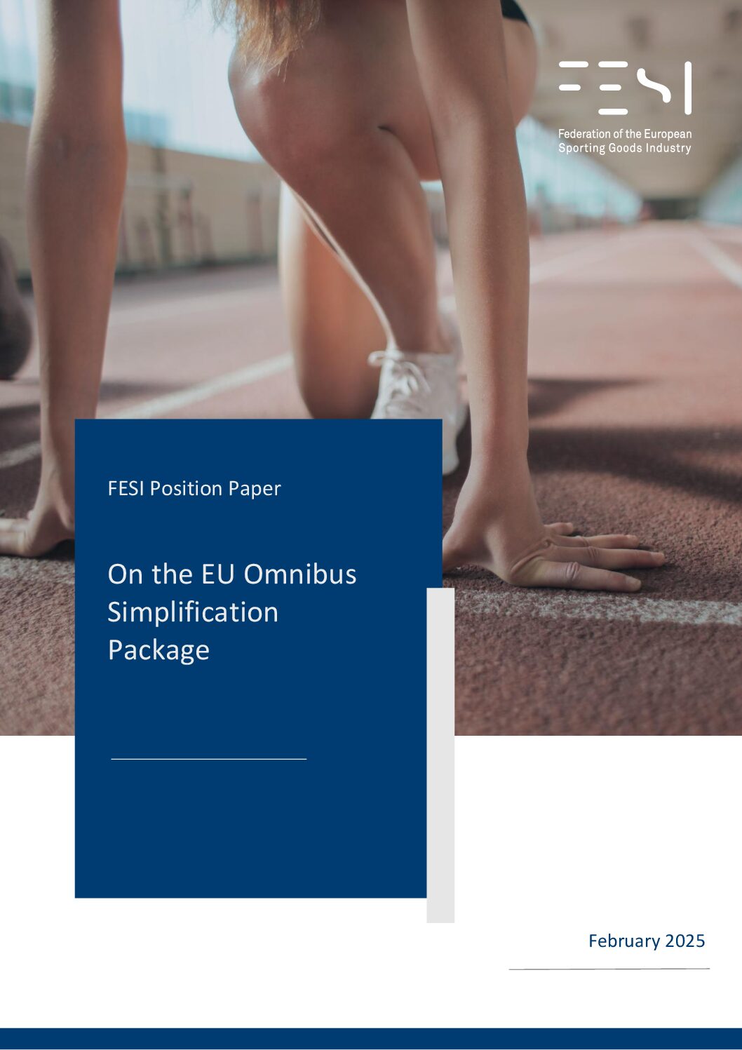 fesi position paper on omnibus simplification package february 2025 pdf