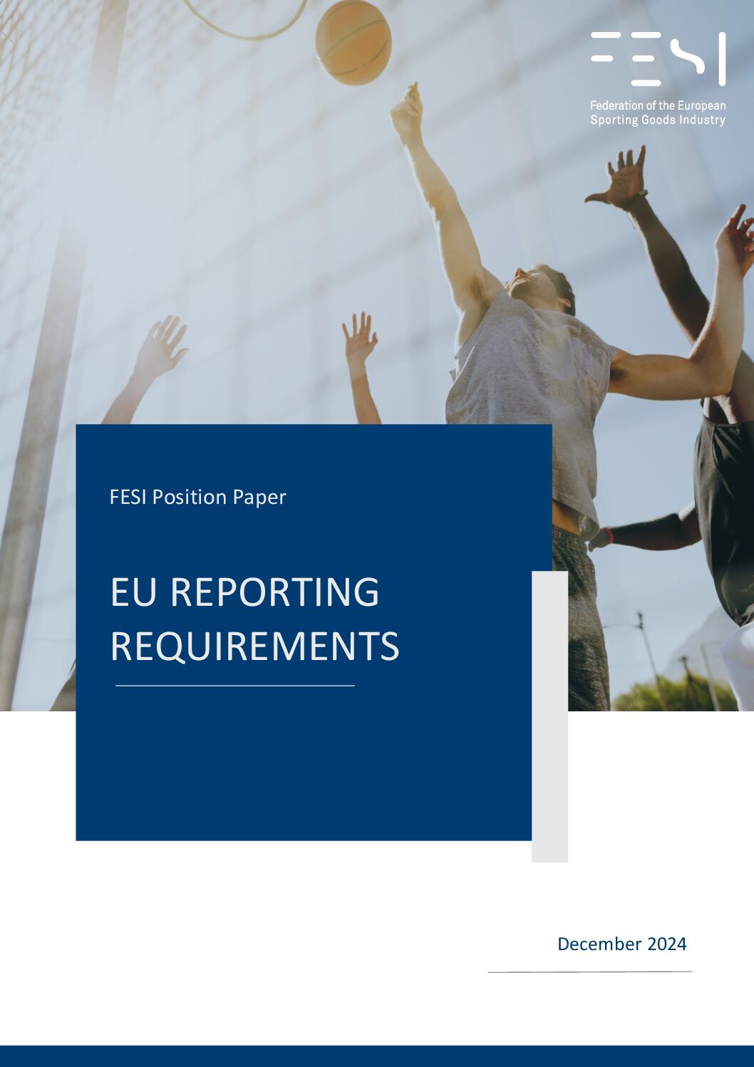 fesi position paper on reporting requirements dec 2024 pdf